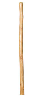 Natural Finish Didgeridoo (TW677)